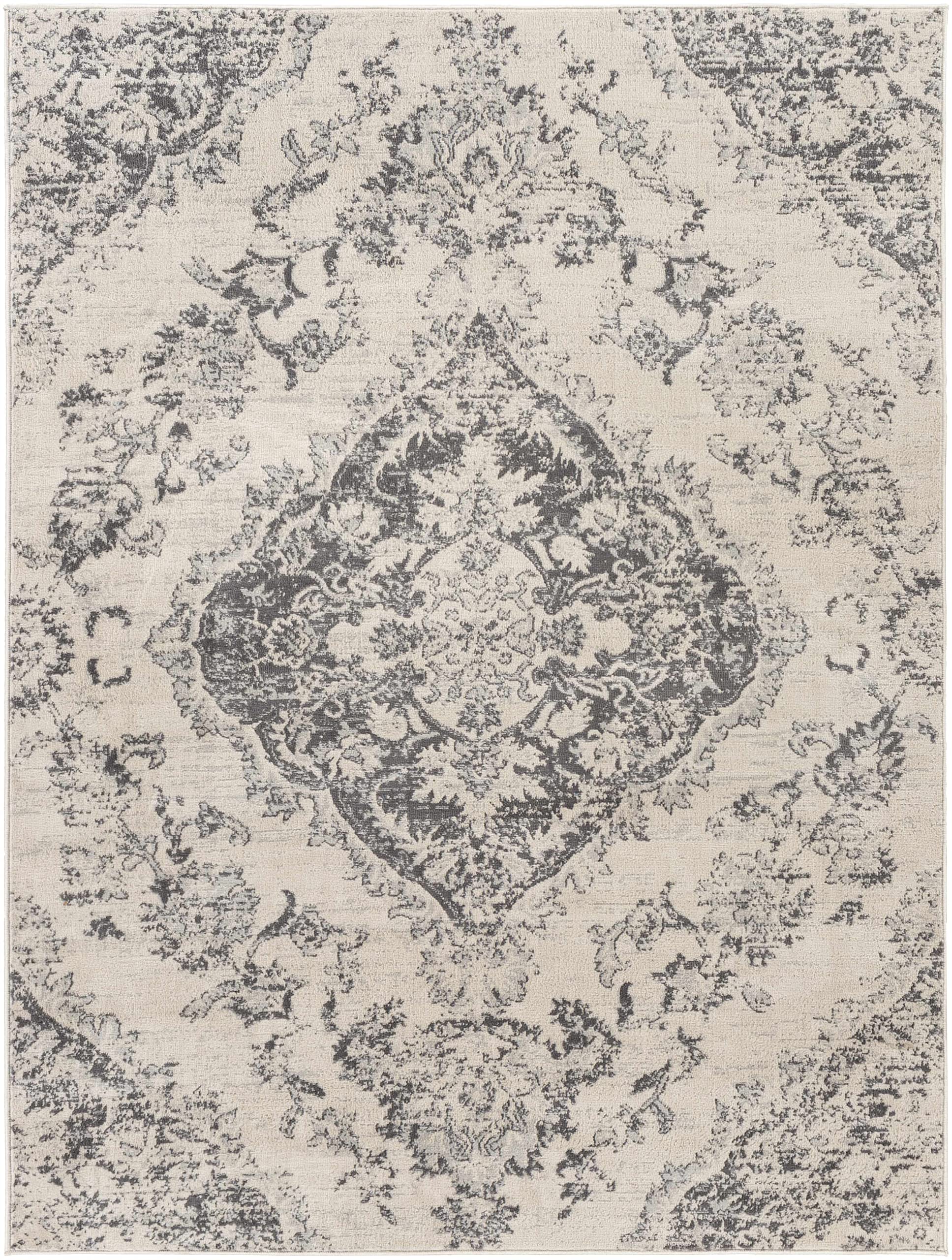 Hauteloom Kotara Traditional Gray and Beige Area Rug 9' x 12'3
