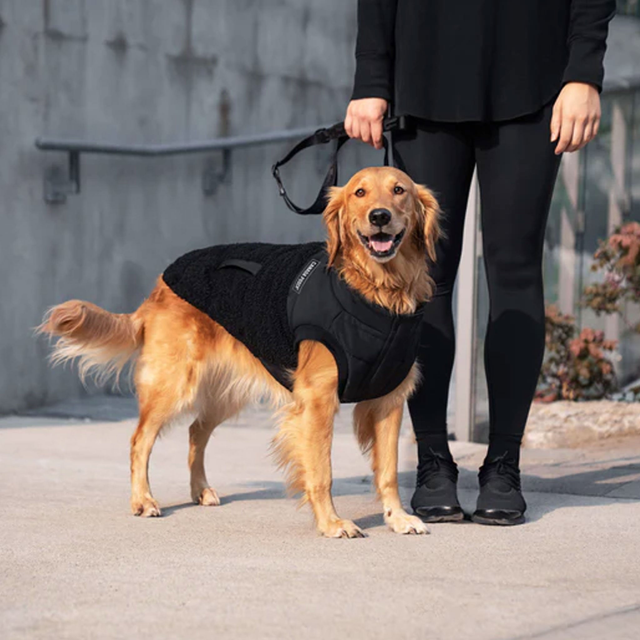 Canada Pooch Cool Factor Puffer Jacket for Dogs - Waterproof Winter Coat with Reflective Trim - Keep Your Pet Warm in Cold Weather - Perfect for Snowy Walks & Outdoor Adventures (Black)