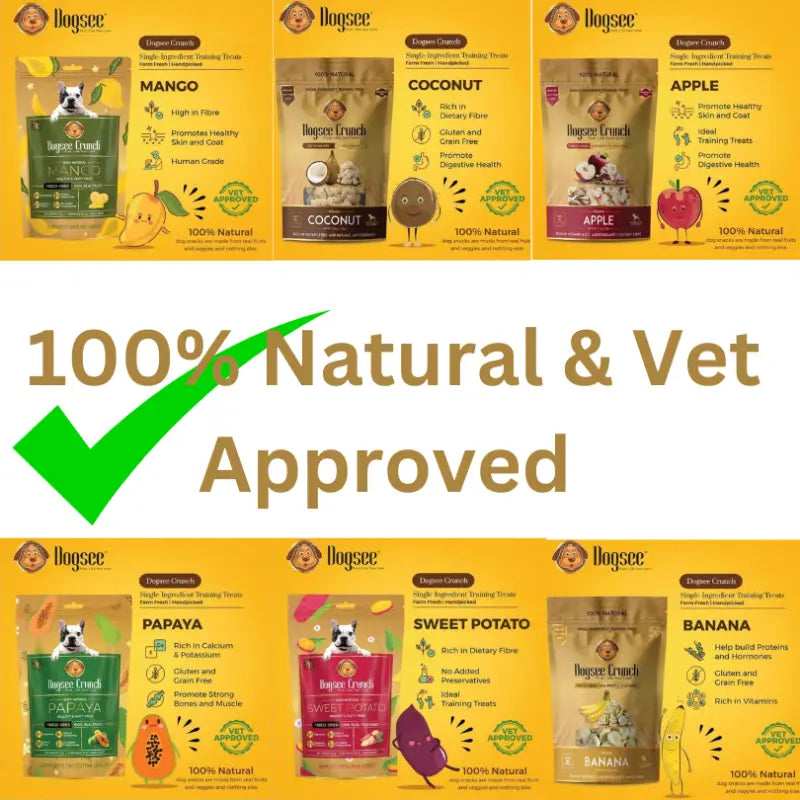 100% Natural Human Grade Freeze-Dried Dog Treats - Apple, Banana, Coconut, Mango & Papaya Flavors (15g) | Healthy Crunchy Snacks for Small & Large Dogs | Perfect for Training, Rewards & Outdoor Adventures