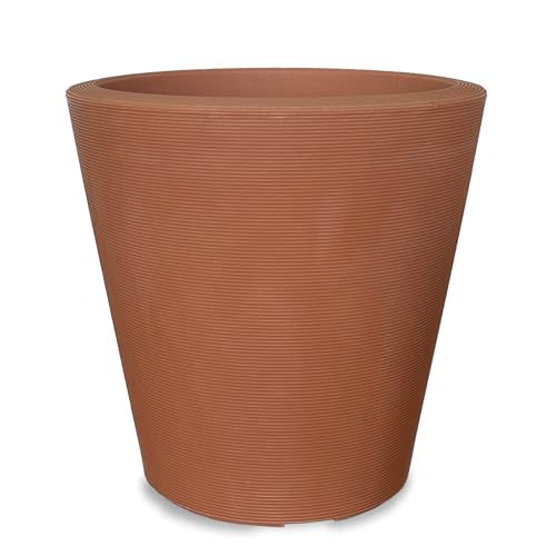 Terracotta Color
