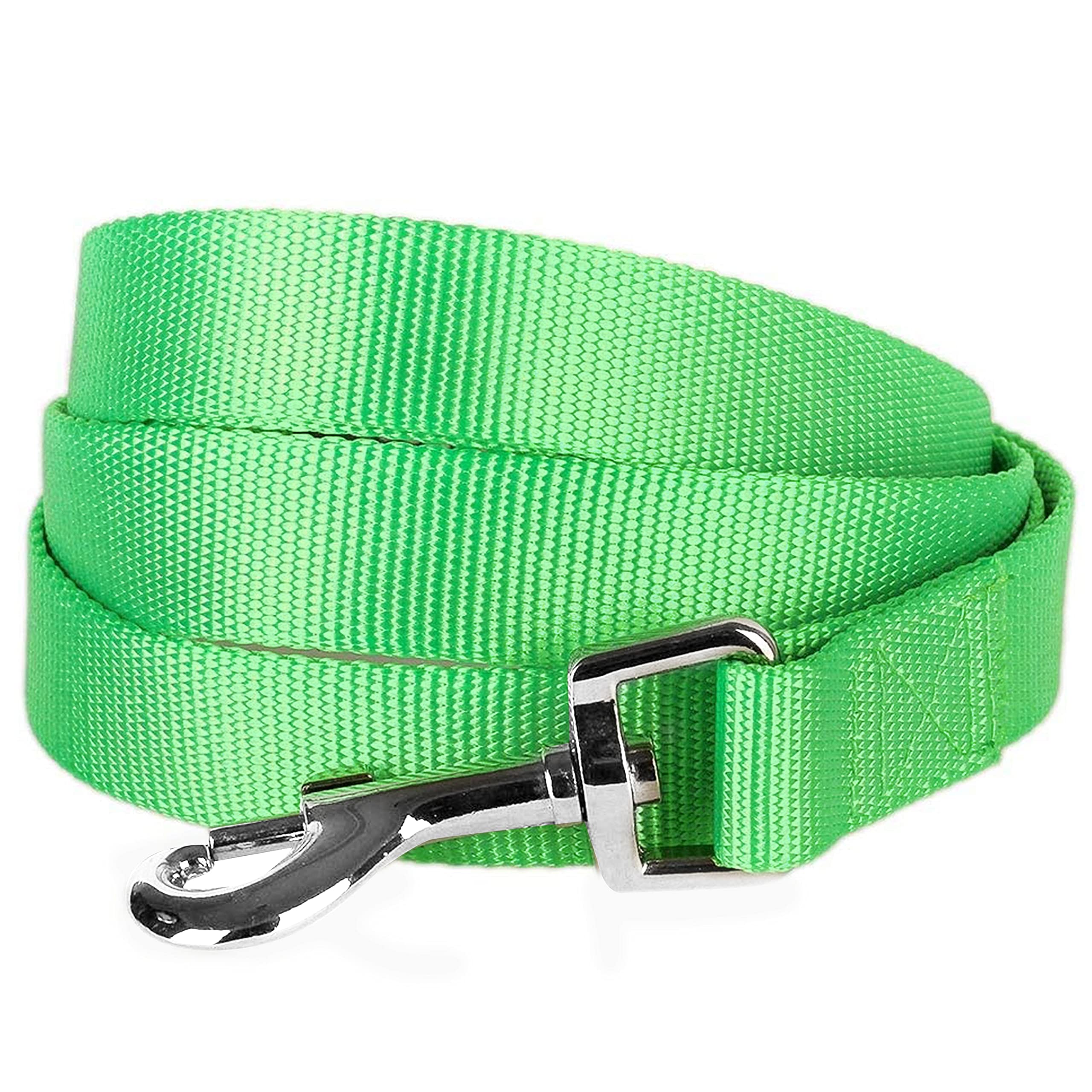 Premium Blueberry Pet Essentials Durable Nylon Dog Leash - 5ft Classic Training Leash for Small Dogs | Lightweight & Strong X-Small Dog Lead in Dark Orchid | Perfect for Walking, Running & Obedience Training