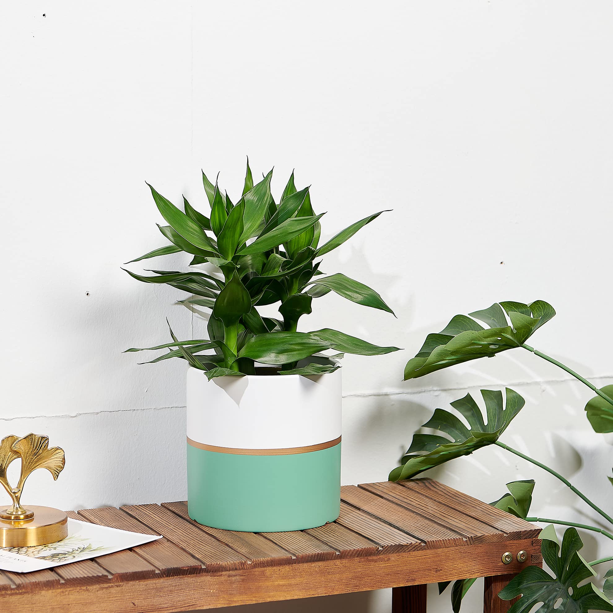 Modern Ceramic Plant Pots Indoor - 4.7 Inch White & Green Flower Pots with Drainage Hole for Succulents, Herbs, Small Plants | Perfect for Home, Office, Balcony Decor (Plant Not Included)