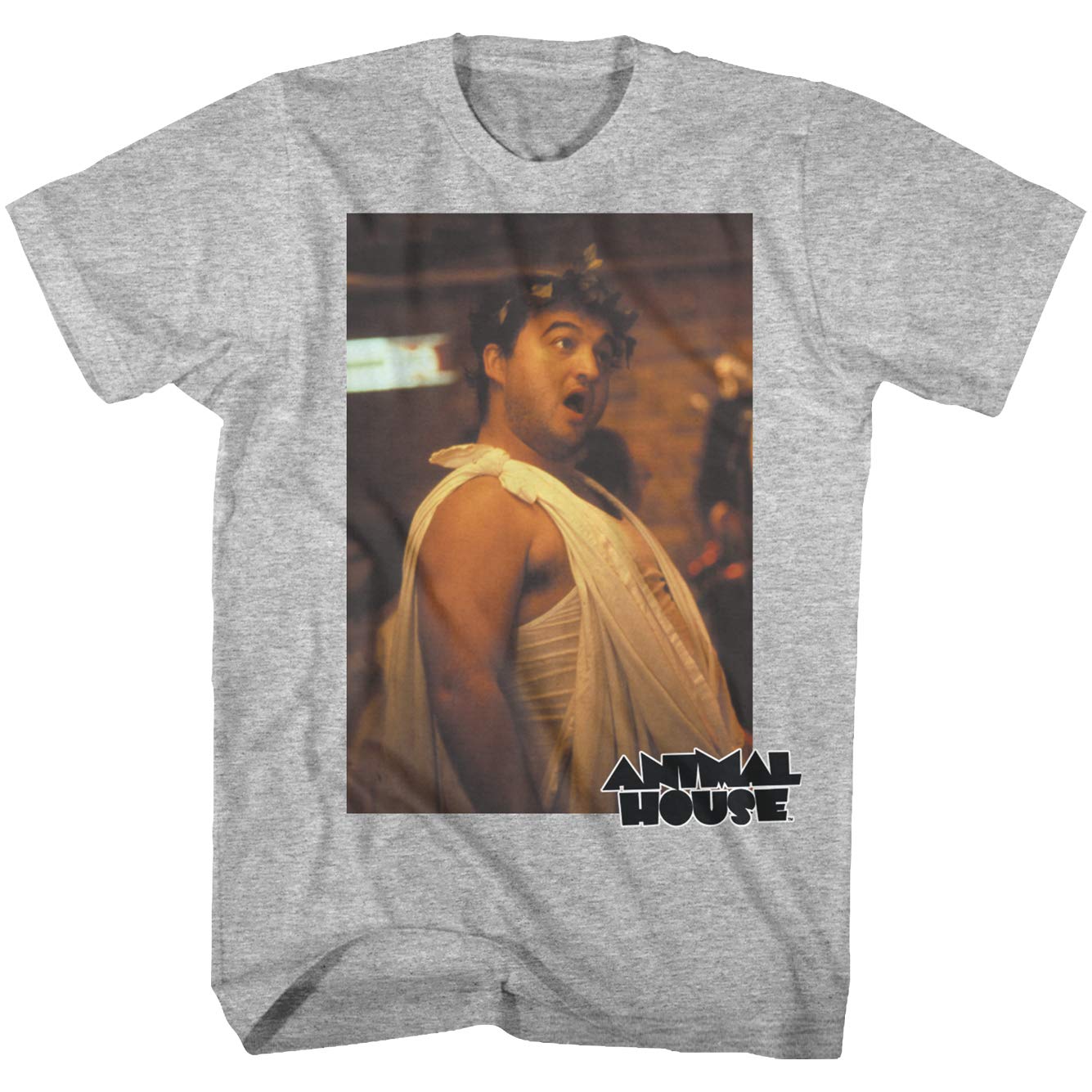 Animal House Romance Comedy Movie Film Toga Photo Gray Heather Adult T-Shirt - Vintage College Party Tee for Fans & Movie Lovers