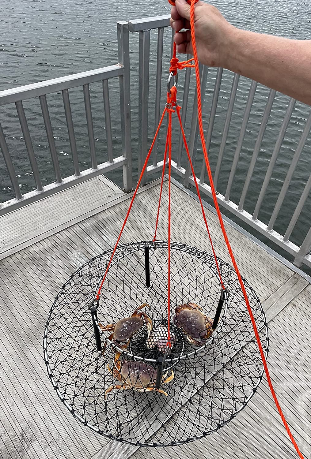 AirFly 4 Arm Crab Trap Harness with 304 Stainless Steel Hooks & Buoy Float - Durable Saltwater Fishing Gear for Crabbing, Lobstering & Shellfish Trapping