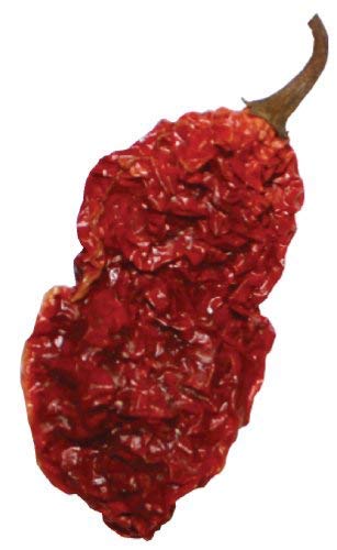 Ghost Pepper Hot Sauce - 7 Whole Ghost Peppers, Extra Hot & Spicy - Perfect for Wings, Tacos, Burgers & Cooking