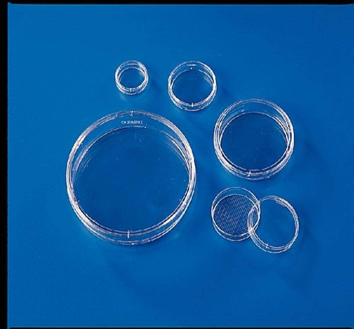 Sterile 150mm Polystyrene Cell Culture Dish - Case of 60 for Lab Research