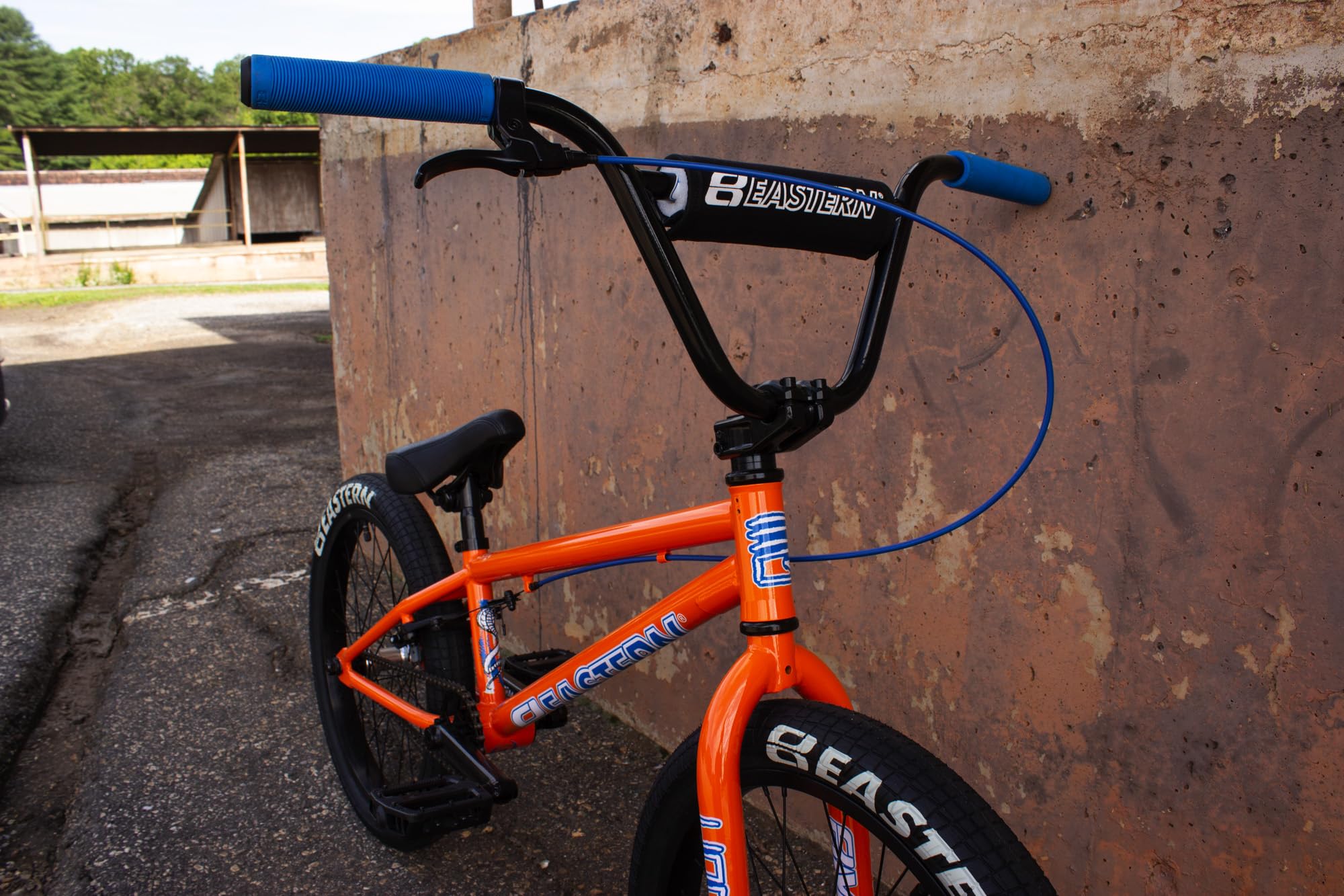Eastern BMX Bikes - Cobra Model 20 Inch Lightweight Freestyle Bike | Designed by Pro Riders | Perfect for Street Tricks, Park Riding & BMX Racing