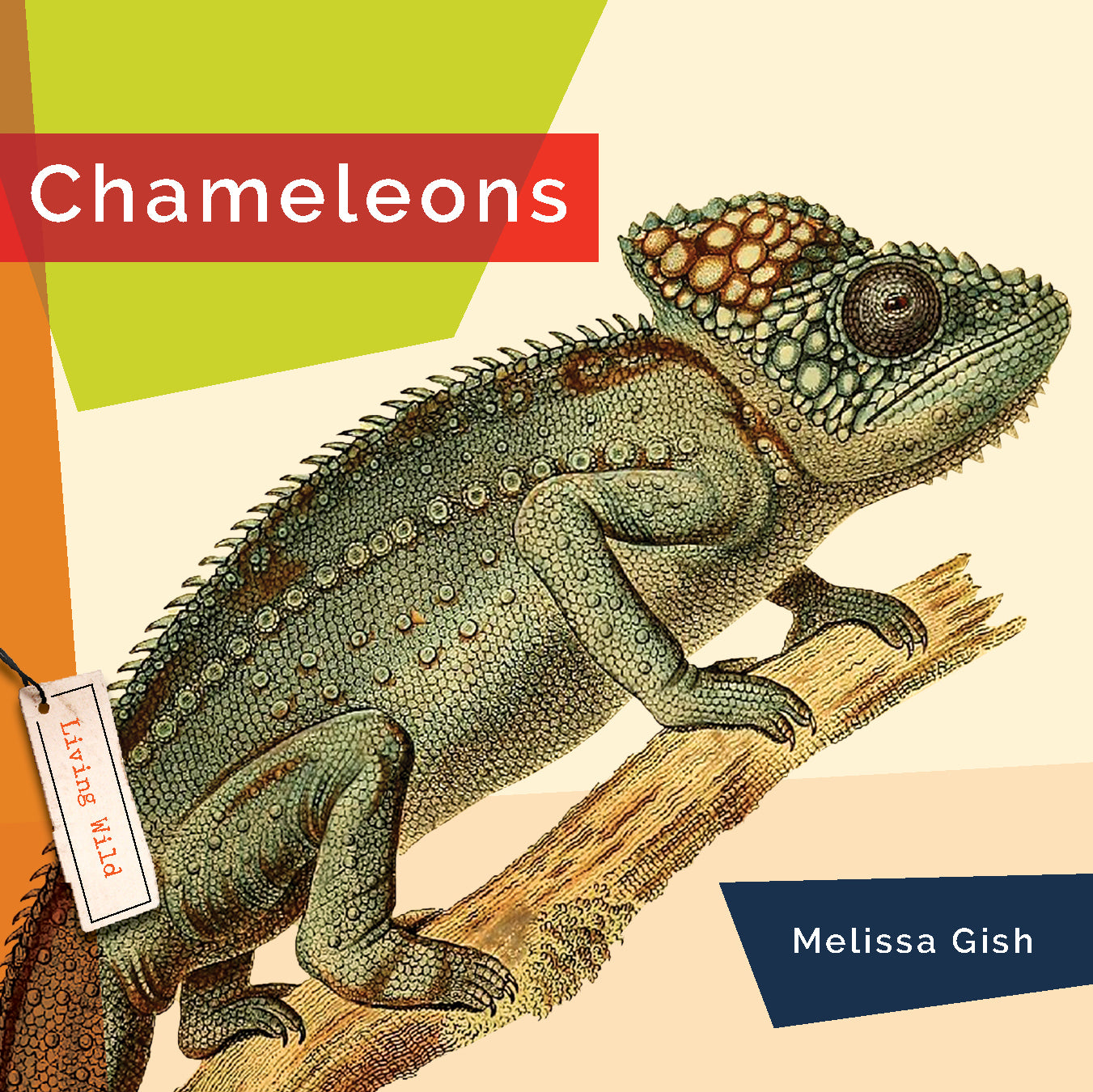 Chameleons Book - 9781640265974 | Fascinating Reptile Facts & Photos for Kids & Adults | Perfect for School Projects & Nature Lovers