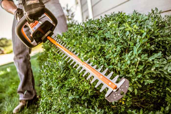 STIHL HSA 45 20-Inch Cordless Hedge Trimmer with Lithium-Ion Battery - Lightweight & Powerful for Home Garden Landscaping & Yard Maintenance