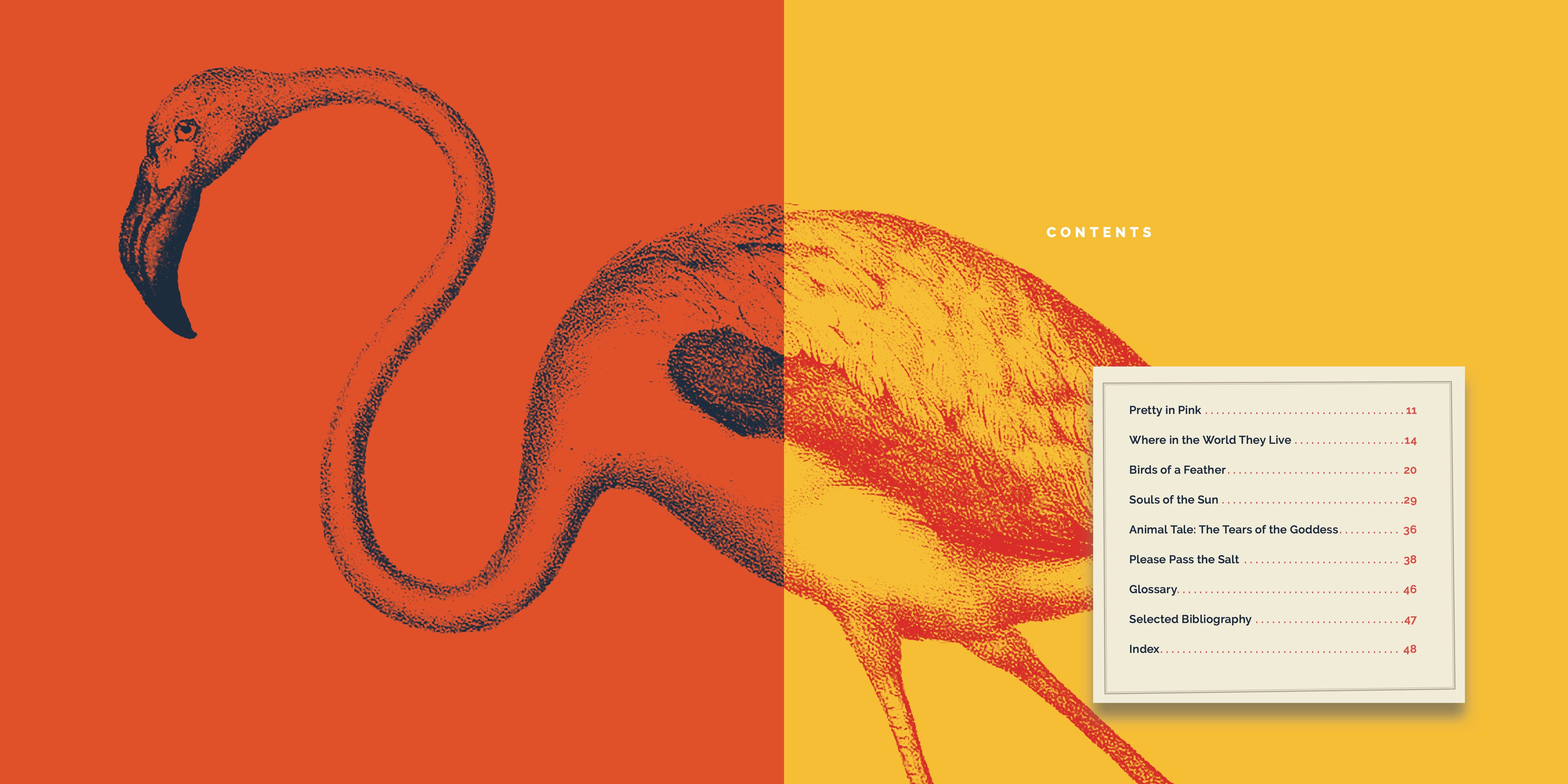 Flamingos Book - 9781640267817 - Learn About Flamingos, Their Habitat & Behavior - Perfect for Nature Lovers, Bird Enthusiasts & Educational Use