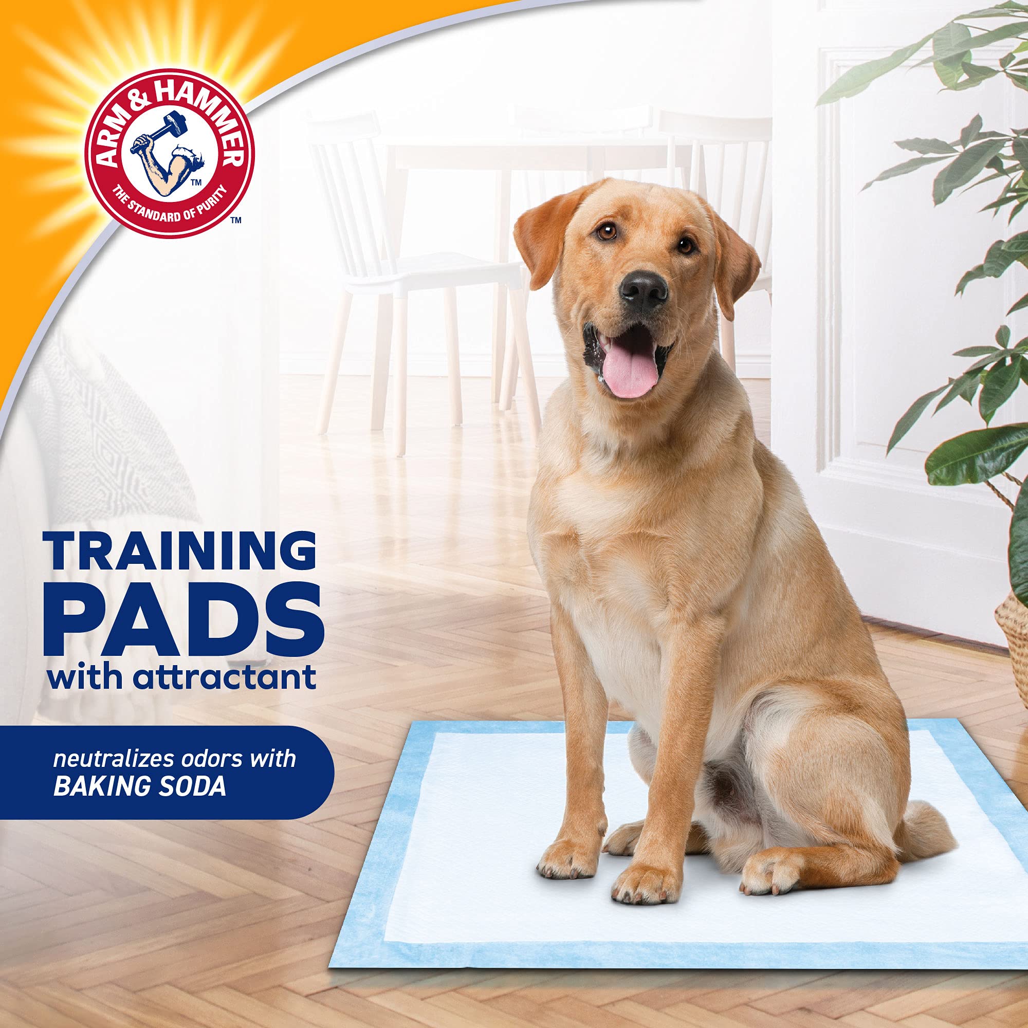 Arm & Hammer Super Absorbent Puppy Training Pads with Baking Soda & Attractant | Leak-Proof, Odor Control Dog Pee Pads | 10 Count (24 Pack Bulk) for Housebreaking, Crate Training & Travel Use