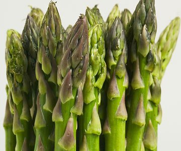 Asparagus Mary Washington Heirloom Seeds - Non-GMO, Bulk 2,000 Seeds for Home Gardening | Perfect for Vegetable Gardens, Raised Beds & Sustainable Farming