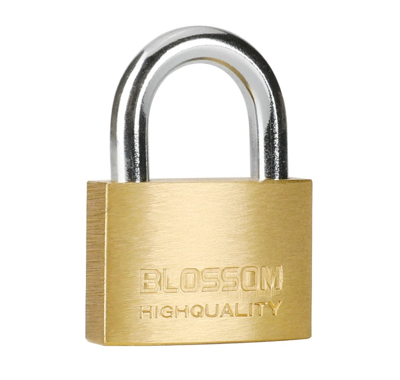 20mm Stainless Steel Padlock - Heavy Duty Security Lock for Gates, Lockers & Toolboxes - Weatherproof & Rustproof - Ideal for Outdoor & Industrial Use