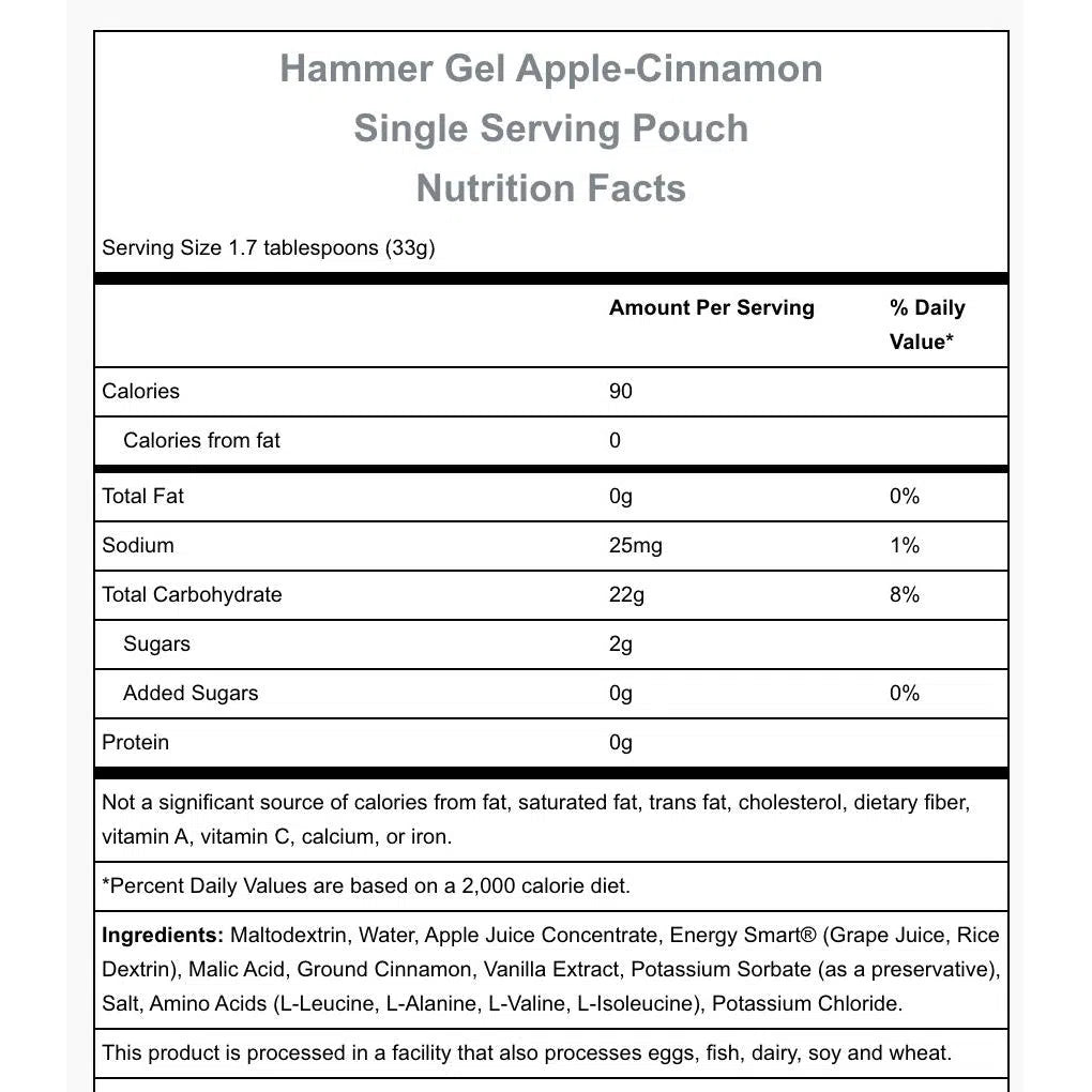 Hammer Nutrition Hammer Gel - Energy Gel for Endurance Athletes | Fast-Acting Carbohydrate Fuel for Running, Cycling & Triathlon Training