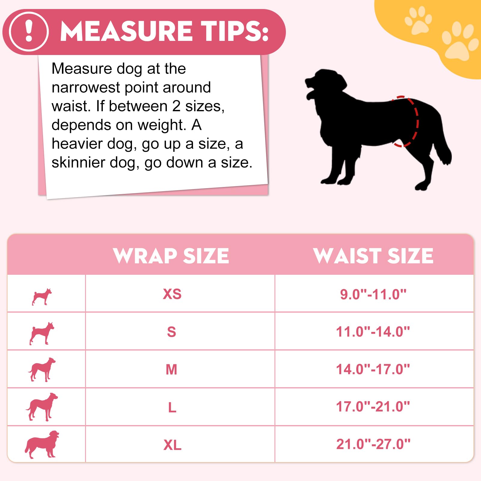 XPCARE Washable Male Dog Belly Bands (5 Pack) - Reusable Dog Diapers for Small Male Dogs, Leak-Proof Pet Belly Wrap for House Training & Incontinence Protection - Perfect for Puppies, Seniors & Travel Use