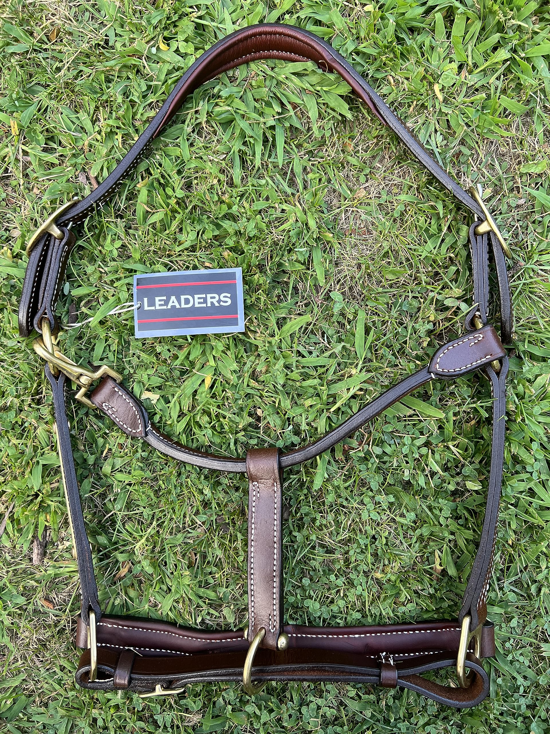 Custom Engraved Leather Horse Halter with Padded Design - Personalized Name Plate for Comfort & Style - Perfect for Training, Shows & Riding