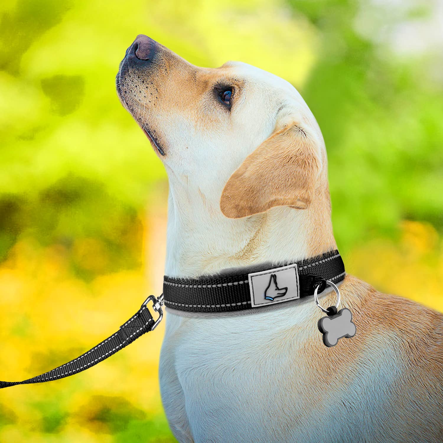 Joytale 19-23 Inch Heavy Duty Reflective Dog Collar with 6FT Leash - Neoprene Padded Pet Collar Set for Large Breeds - Perfect for Walking, Training & Outdoor Adventures