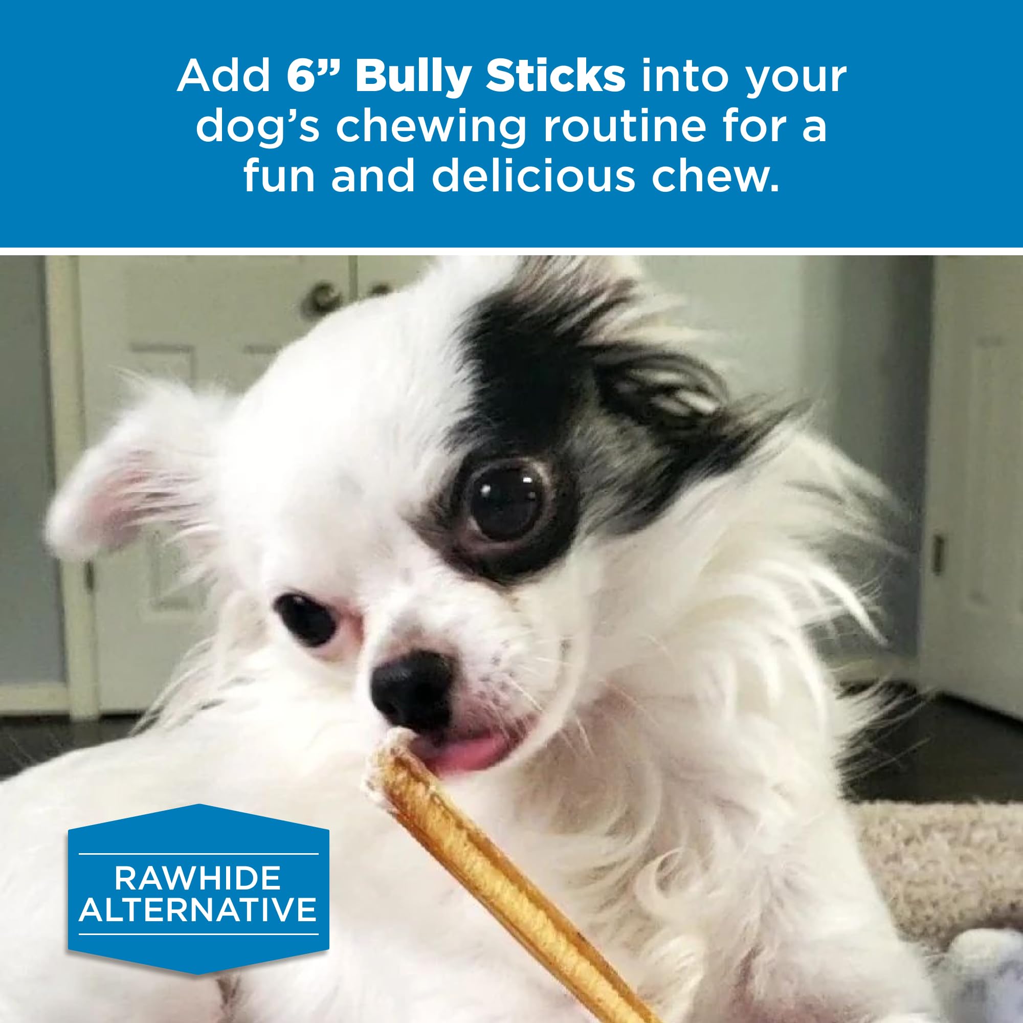 Premium 4 Inch Bully Sticks for Dogs - 100% Natural Grass-Fed Beef Chews, Grain & Rawhide Free Dog Treats for Small Dogs & Puppies | 8 oz Pack - Perfect for Teething, Training & Dental Health