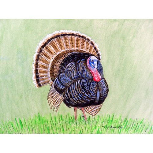 Premium Wild Turkey Design Non-Slip Door Mat 30