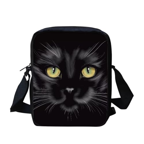 B Black Cat