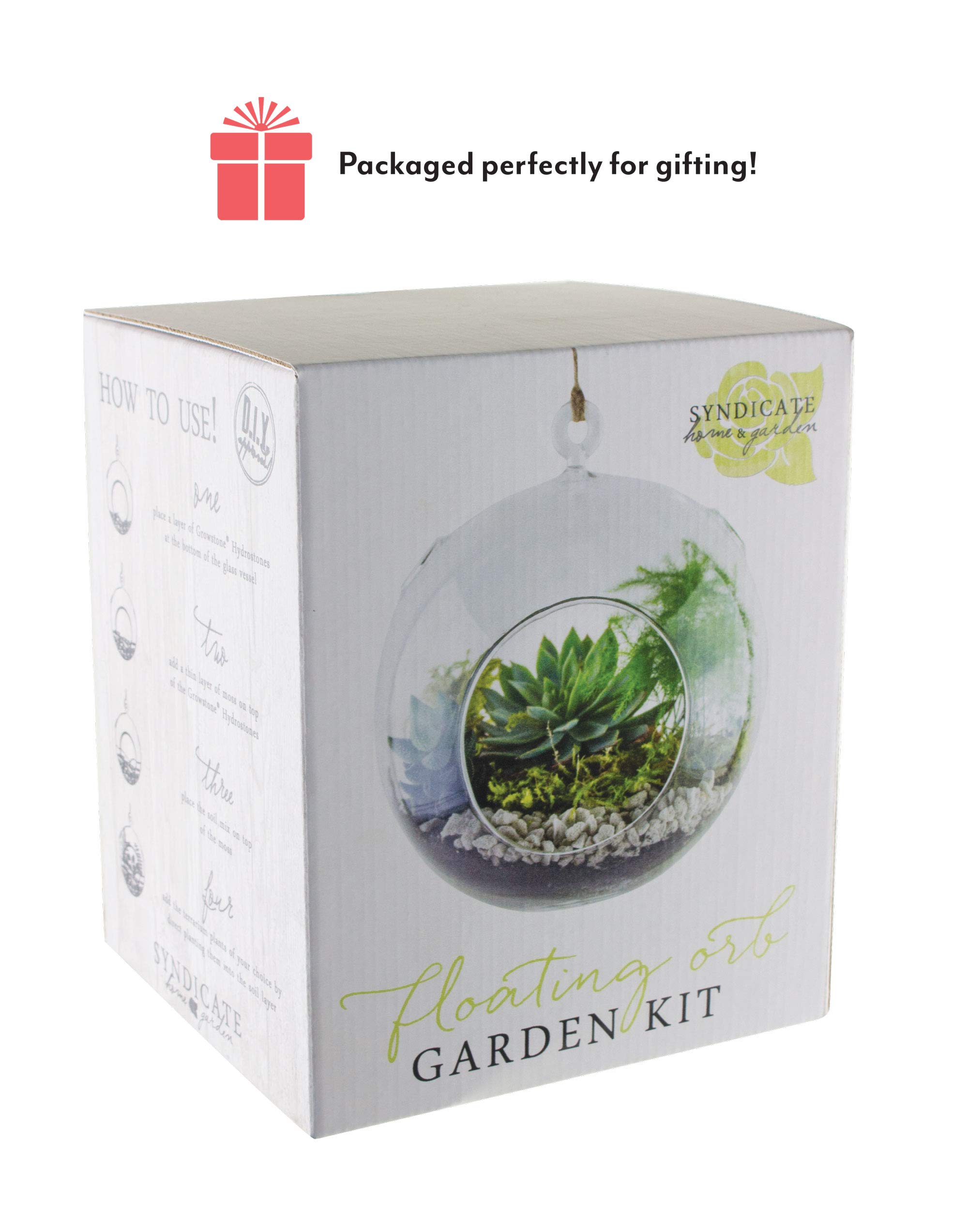 Syndicate Home & Garden Floating Orb Terrarium Kit - Glass Container, Stones, Soil & Moss for Indoor Plants | Perfect for Home Decor, Office Desk & Zen Garden Displays