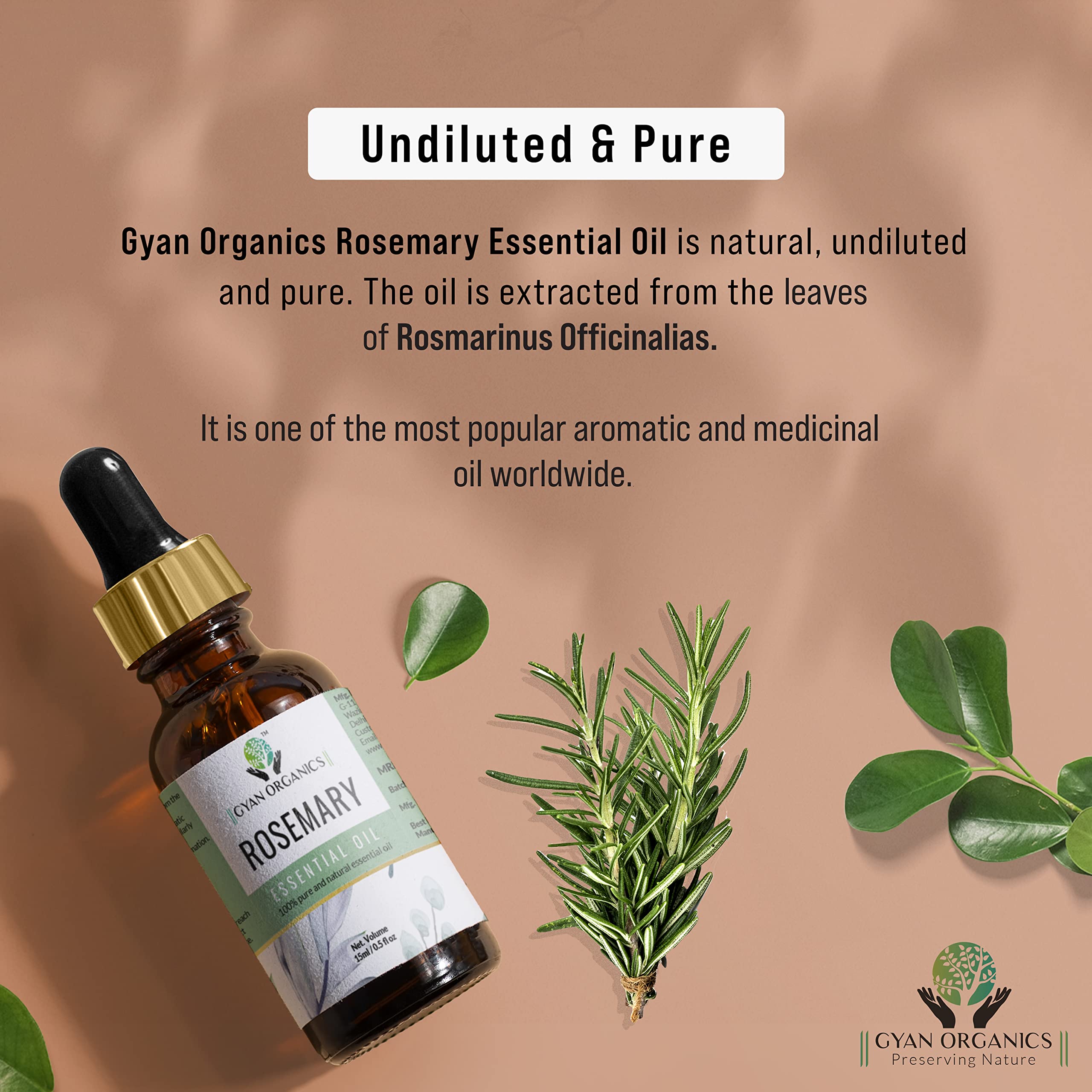 Gyan Organics 100% Pure Rosemary Essential Oil for Hair Growth - 15ml (Pack of 1) | Natural & Undiluted for Dandruff Control, Scalp Nourishment & Healthy Hair | Perfect for DIY Hair Care, Aromatherapy & Massage
