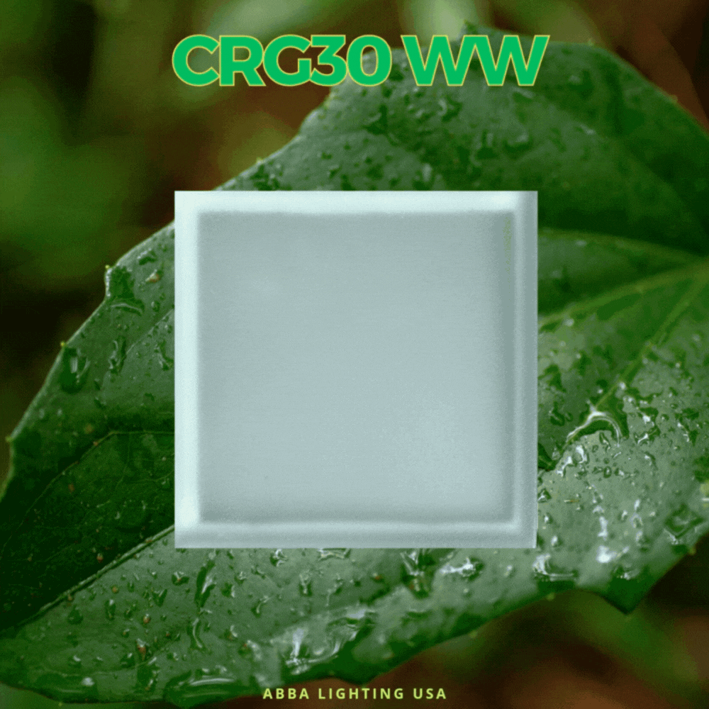 CRG30 Low Voltage In-Ground RGB & Warm White LED Brick Paver Light - IP67 Waterproof Landscape Lighting for Driveway, Walkway & Garden Path