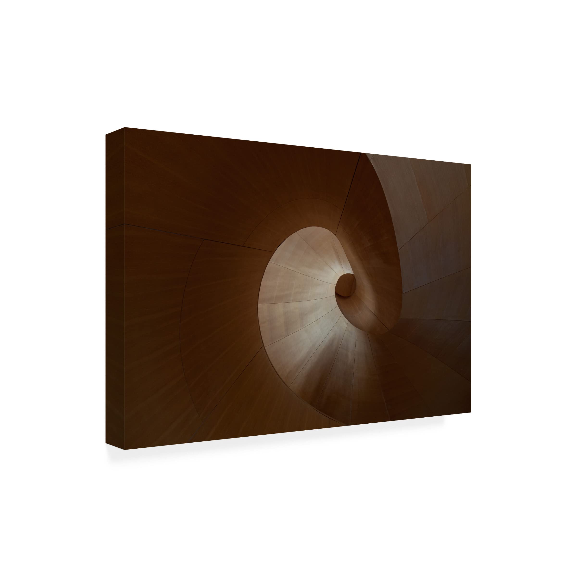 Heather Bonadio 'Spiral' Canvas Wall Art Print - Modern Abstract Home Decor for Living Room, Bedroom & Office