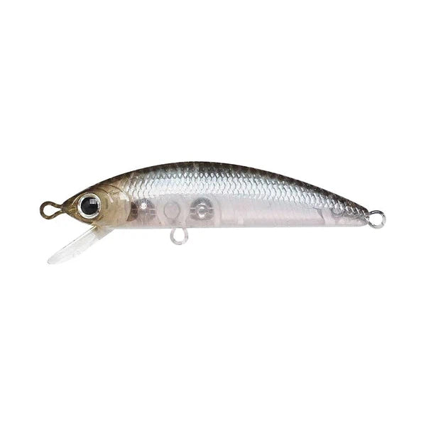 Lucky Craft Humpback Minnow 50 SP Fishing Lure - Topwater Bass Bait for Freshwater & Saltwater Fishing - Perfect for Casting, Trolling, and Shore Fishing