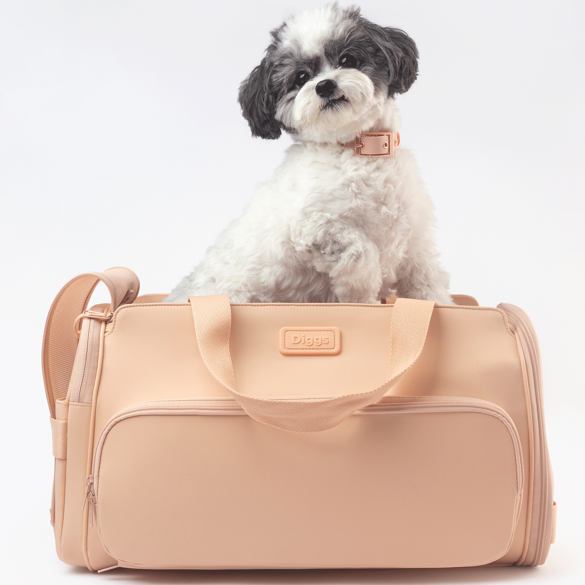 Diggs Passenger Travel Carrier for Small Dogs & Cats - Soft-Sided Pet Carrier with Ventilation & Storage, Blush Pink - Perfect for Airplane, Car & Vet Visits
