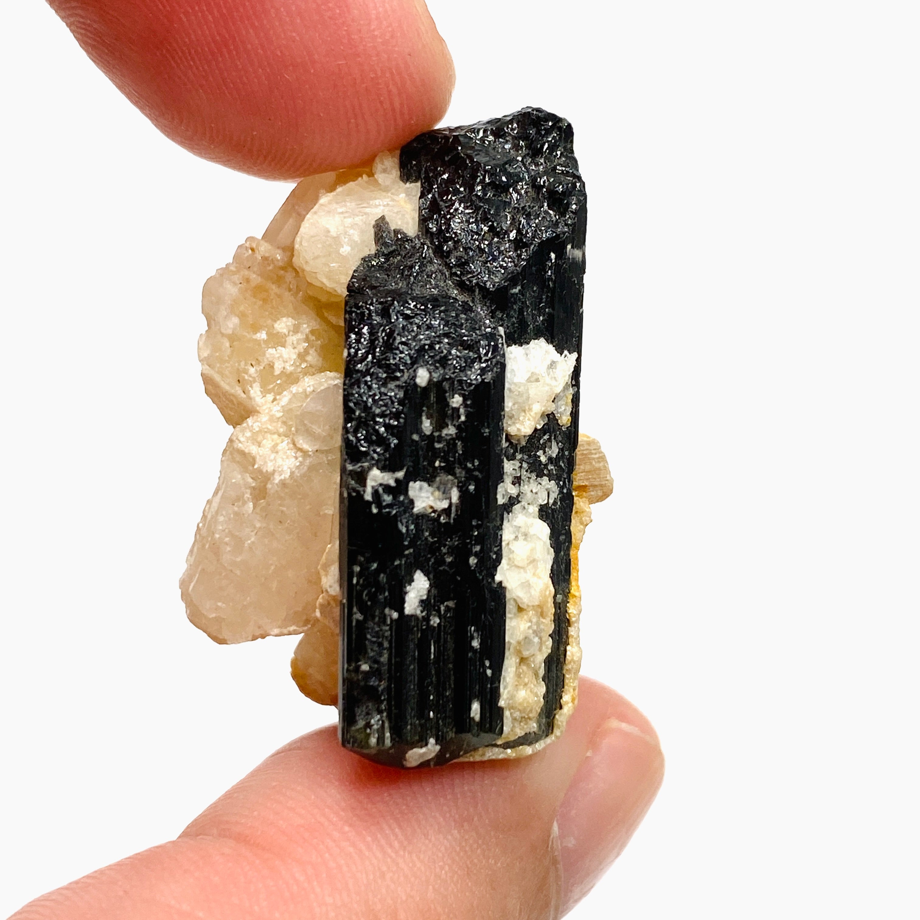 Natural Black Tourmaline Crystal Specimen - BTS 09 | Healing Stone for Protection & Negative Energy Cleansing | Perfect for Meditation, Home Decor & Mineral Collection