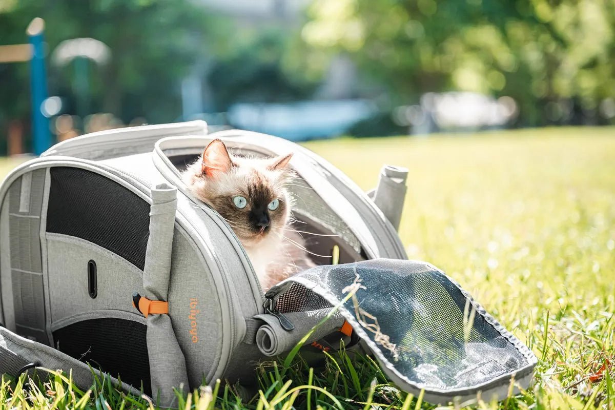 Adventure Cat & Small Dog Carrier Backpack - Lightweight Pet Travel Backpack for Hiking, Camping & Airplane Travel - Perfect for Outdoor Adventures with Your Furry Friend