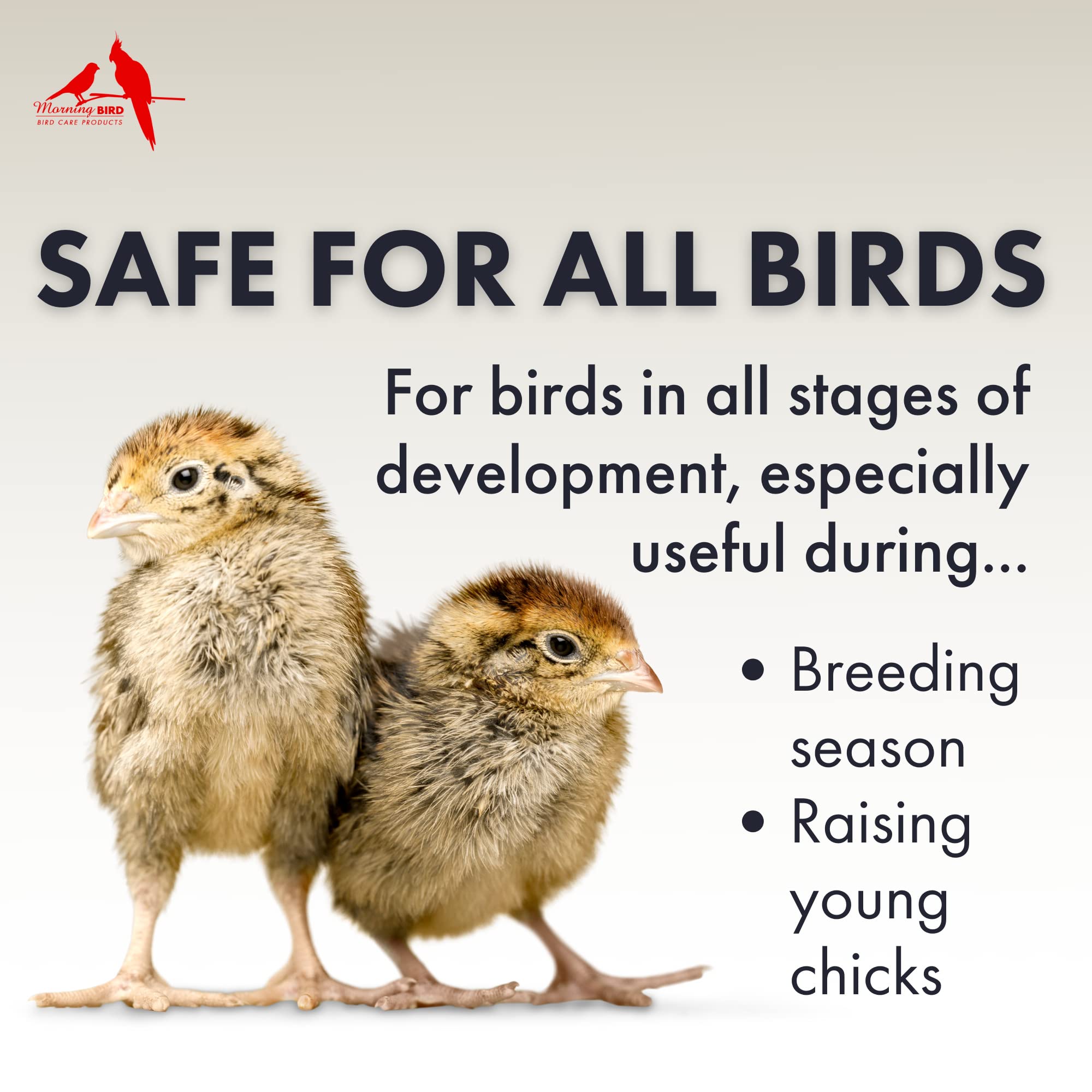 Morning Bird Breeders Blend Fertility Supplement - High Protein with Vitamins, Minerals & Amino Acids (0.5 oz) | Supports Bird Health & Egg Production for Breeders