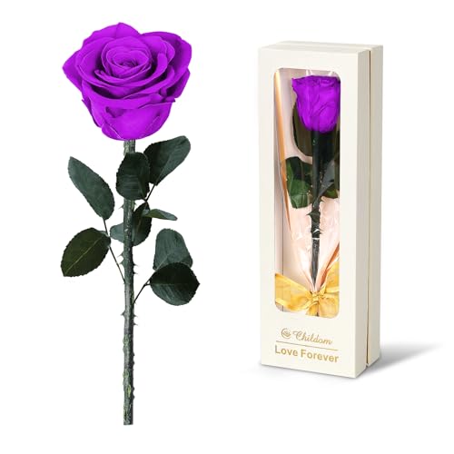 Preserved Purple Rose