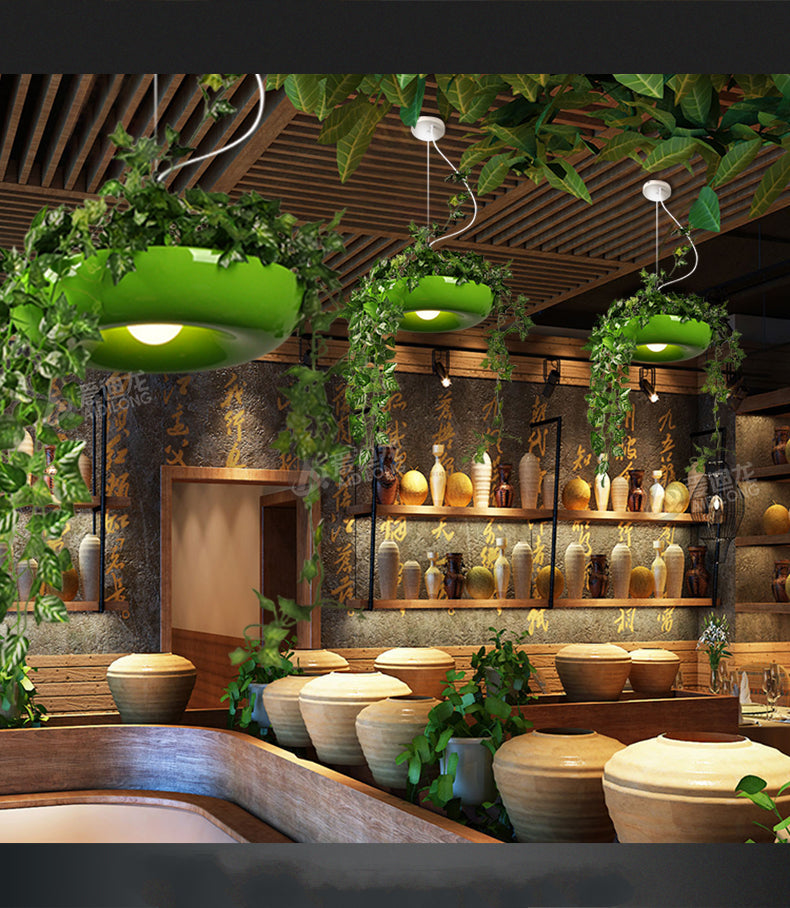 Modern Plant Pendant Hanging Lights - Energy Efficient Indoor/Outdoor Decorative Lighting for Living Room, Bedroom, Patio & Garden