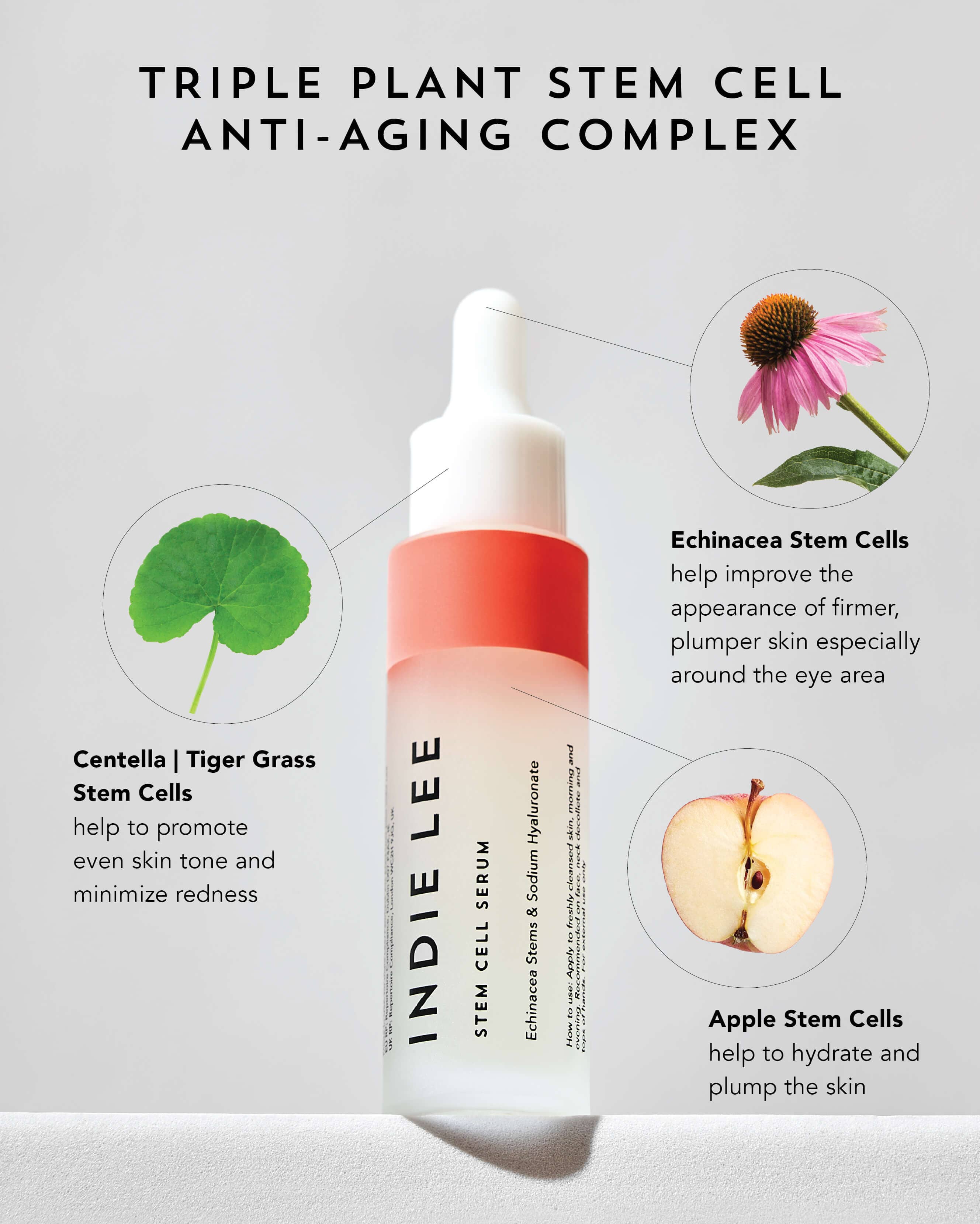 Best Stem Cell Serum for Anti-Aging & Skin Rejuvenation - Organic Facial Treatment for Wrinkles & Fine Lines - Perfect for Night Routine & Daily Skincare Regimen