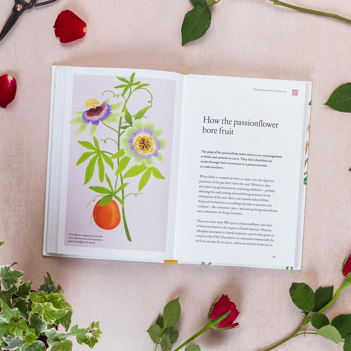How the Rose Got Its Thorns: Botanical Stories Book - Perfect for Nature Lovers & Garden Enthusiasts