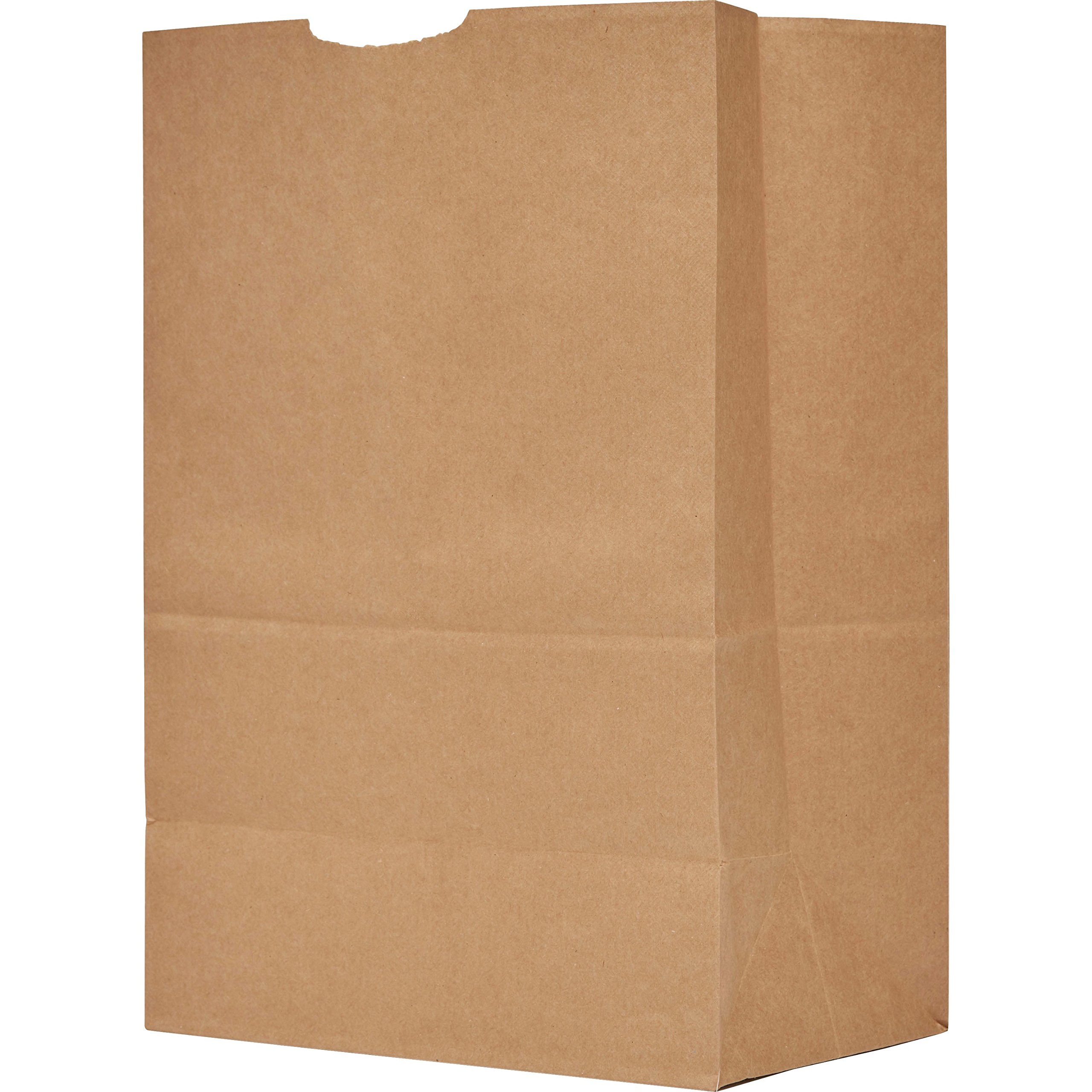 12-25 Pack Kraft Brown Paper Bags - 7.5