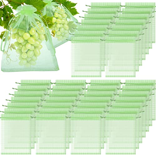 Fruit Green