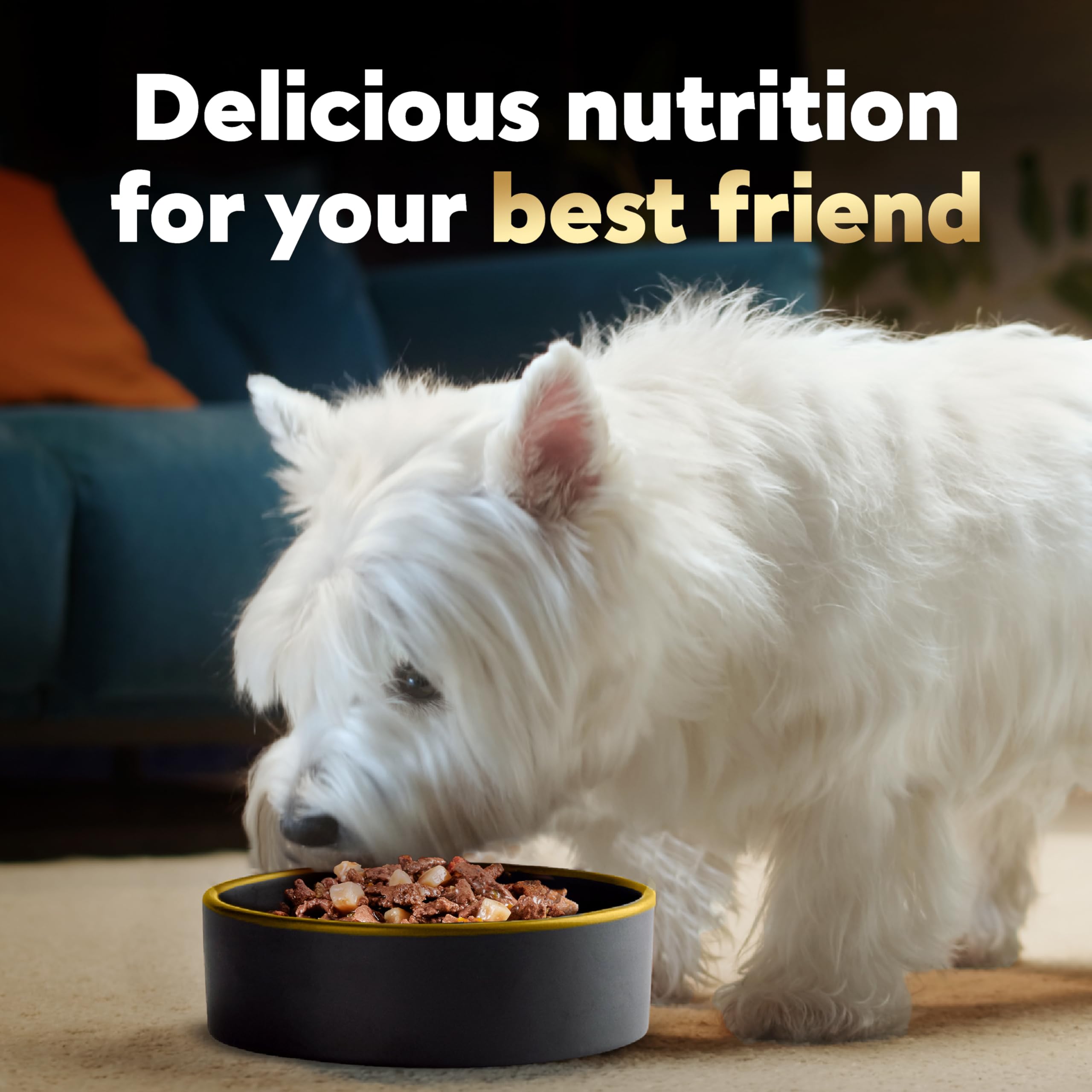Premium CESAR HOME DELIGHTS Adult Wet Dog Food - Slow Cooked Chicken & Vegetables in Savory Sauce, 3.5 oz Easy-Peel Trays (Pack of 24) | Perfect for Mealtime, Training Rewards & Senior Dogs