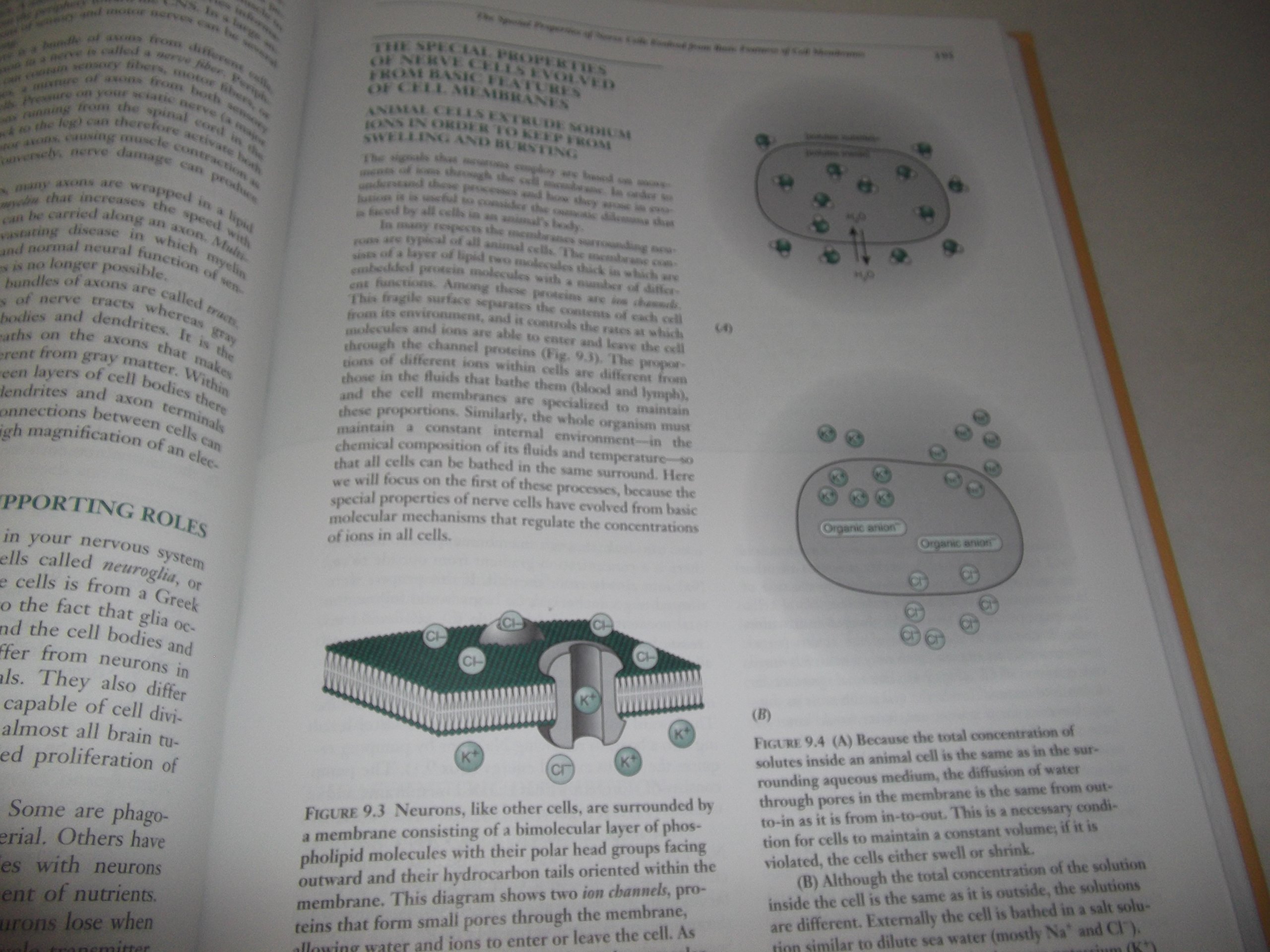 Biology, Evolution, and Human Nature - Comprehensive Guide for Students & Researchers | Explore Scientific Theories & Real-World Applications in Education and Research