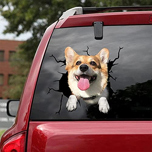 Corgi