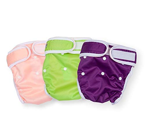 **Washable Reusable Female Dog Diapers - No Tail Hole, Absorbent Pet Panties for Small Dogs (XS, Purple) | Perfect for Incontinence, Heat Cycles & Travel**