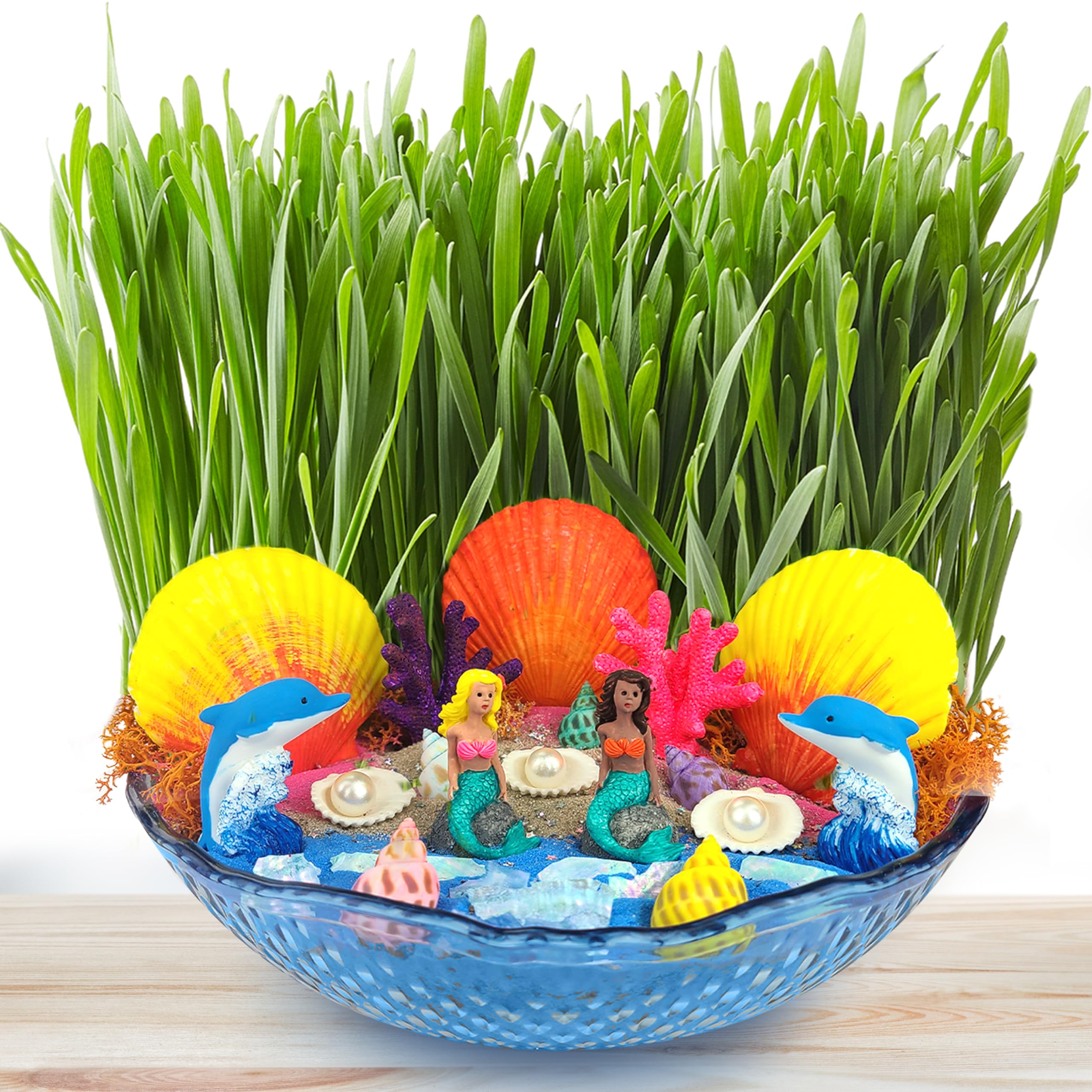 BLOONSY Mermaid Fairy Garden Kit for Kids - Light Up Terrarium with LED, STEM Science & Arts Crafts Activity for Girls Ages 8-12 | Perfect Birthday Gift, Room Decor & Creative Play