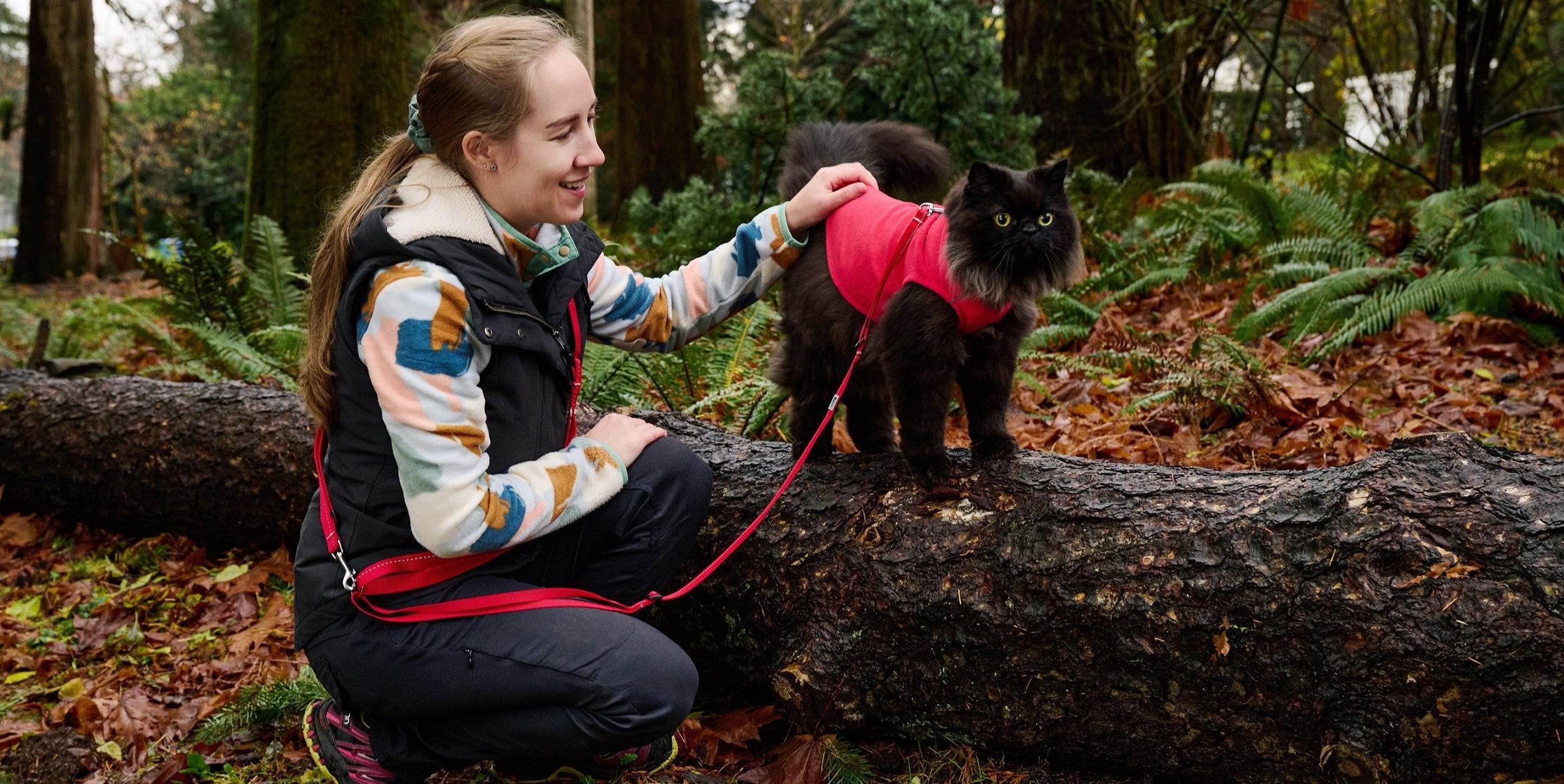 RC Pets Reflective Dog Harness - Dark Teal Multi-Purpose Primary Active Pet Vest for Small Medium Large Dogs | Perfect for Walking, Running, Hiking & Nighttime Safety