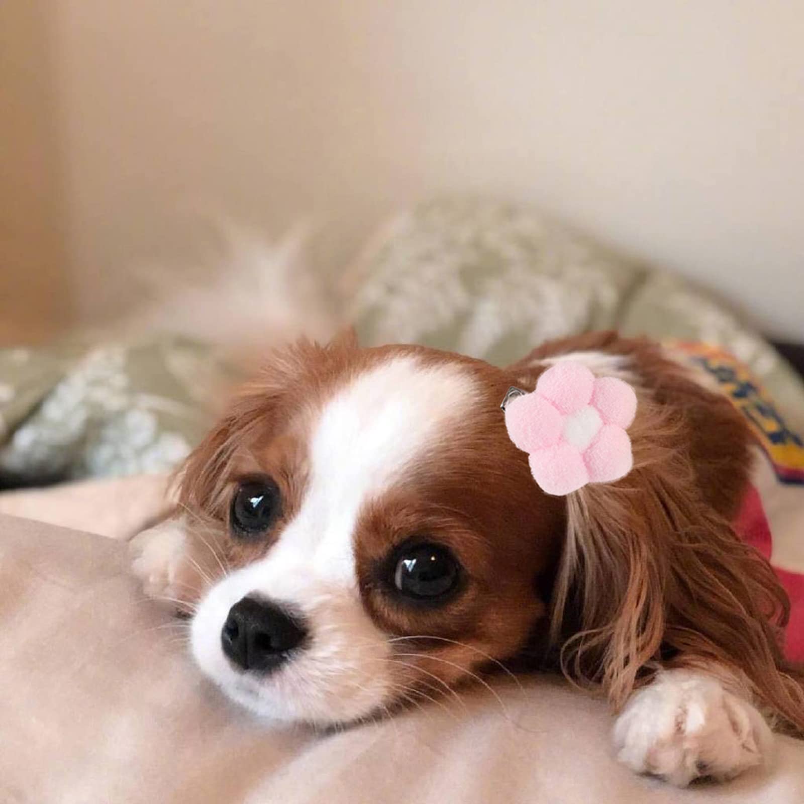 Cute Small Dog Hair Clips & Bows - Floral Fur Ball Barrettes for Puppies & Cats | Alligator Hair Clips for Pet Grooming, Birthday Parties & Special Occasions