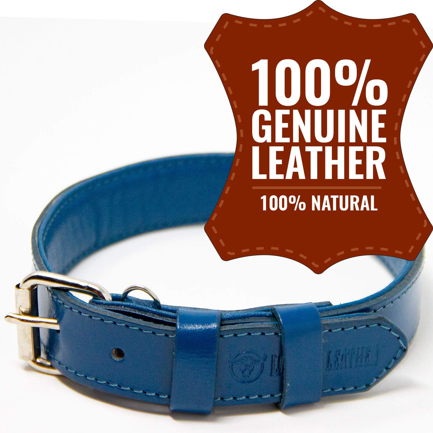 Premium Full Grain Leather Dog Collar with Padded Comfort - Adjustable Medium Size for Medium Dogs (Blue) - Perfect for Daily Walks, Training & Outdoor Adventures