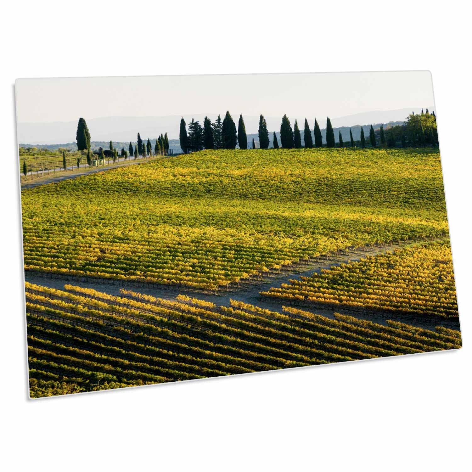 3dRose Autumn Vineyards in The Chianti Region - Set of 4 Non-Slip Desk Pad Place Mats (dpd-330313-1) | Perfect for Dining Tables, Kitchen Countertops & Holiday Decor