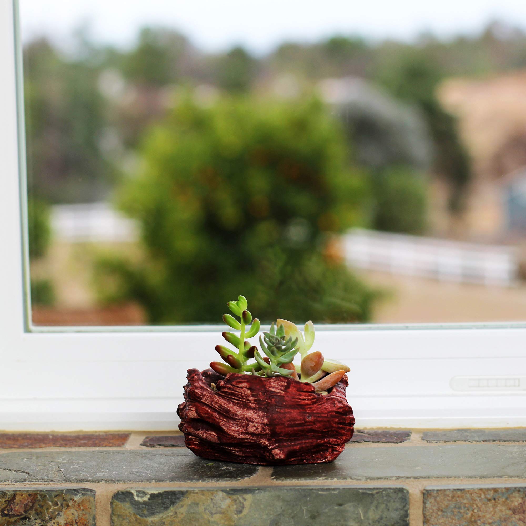 **Handmade Ceramic Wood Planter Pot - Indoor/Outdoor Log Planter for Succulents, Flowers & Small Plants (Redwood Wave) - Perfect for Home Decor, Office Desk & Garden**