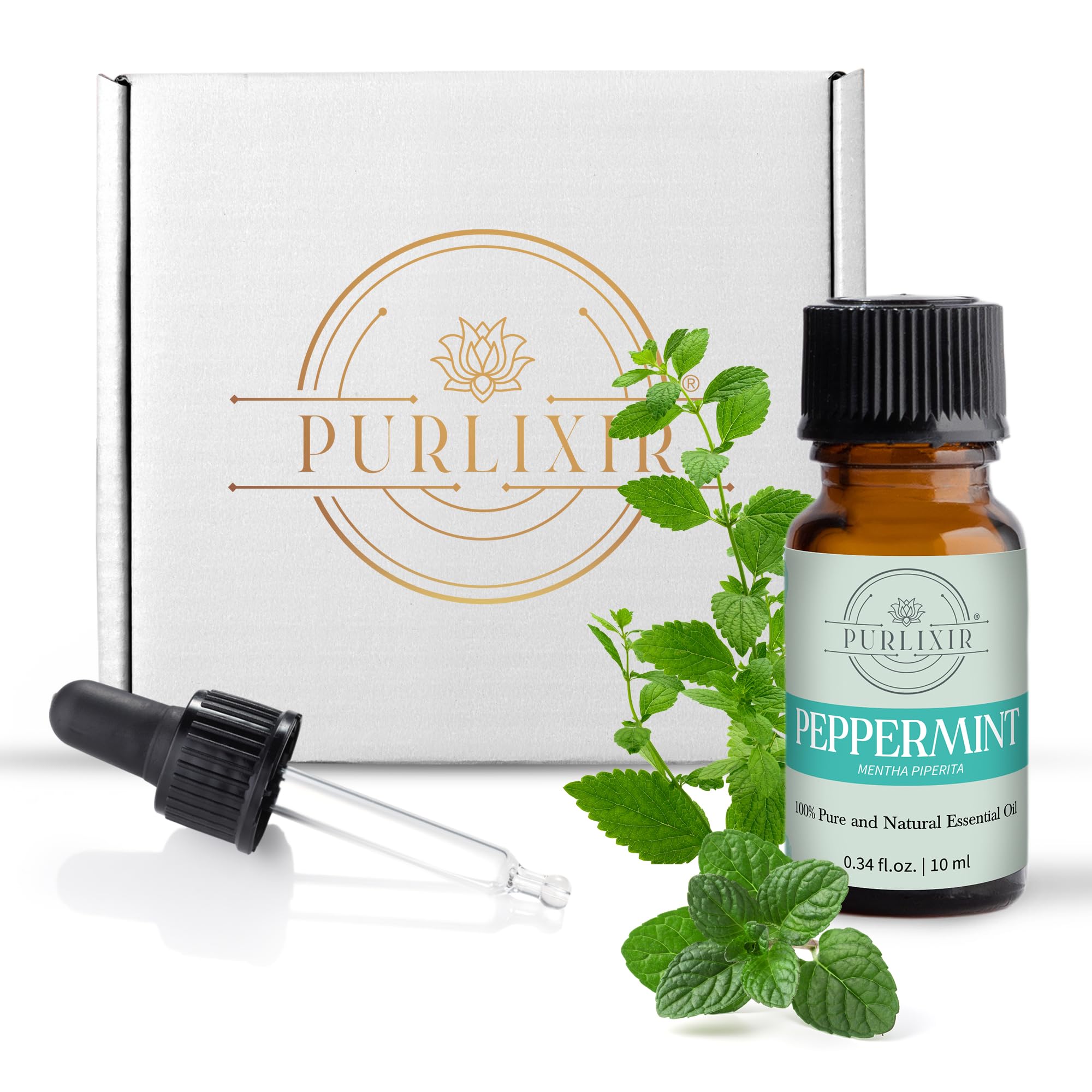 Purlixir 100% Pure Natural Organic Peppermint Essential Oil - 10ml | Stimulates Healthy Skin, Hair & Scalp | Cooling & Refreshing Care for Face & Body | Perfect for Aromatherapy, Massage & DIY Beauty Products